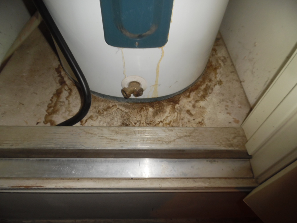 Water damage inspection
